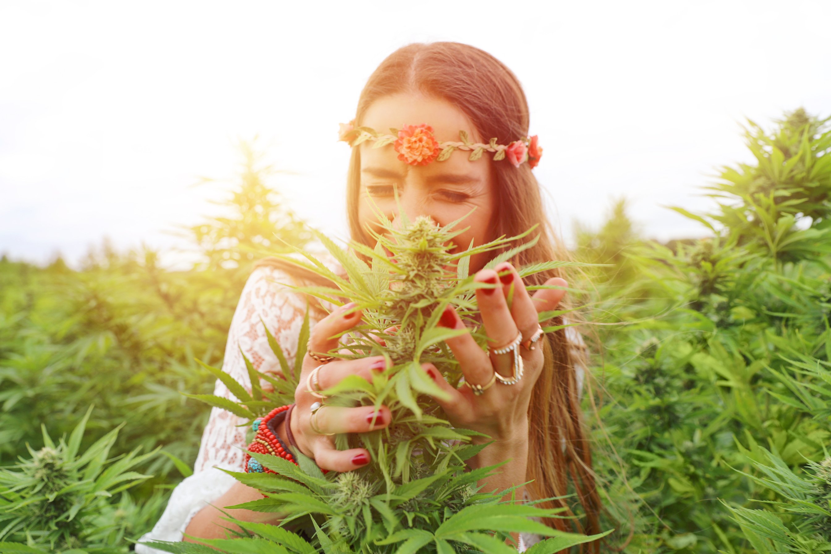 Young woman in cannabis field